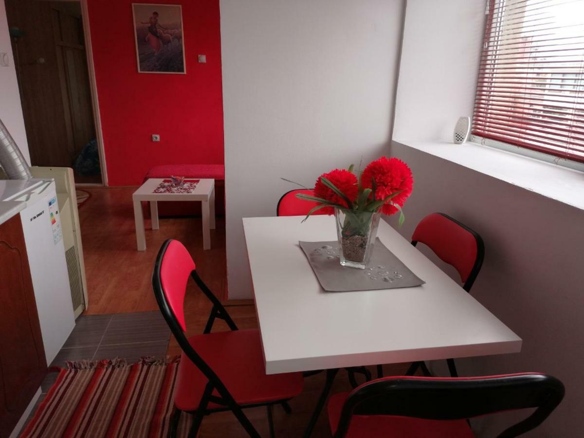Jednosoban Stan Centar Apartment Pirot Ngoại thất bức ảnh