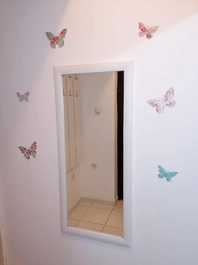 Jednosoban Stan Centar Apartment Pirot Ngoại thất bức ảnh